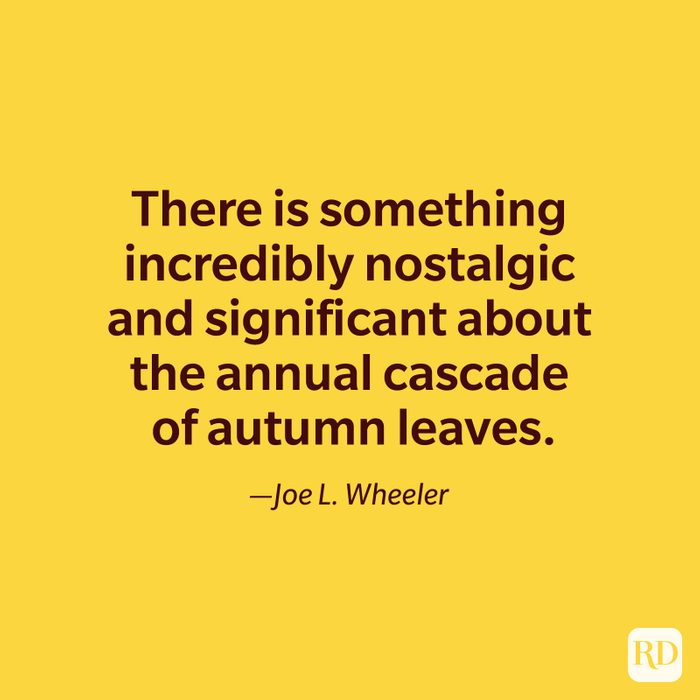 fall quote by Joe L. Wheeler