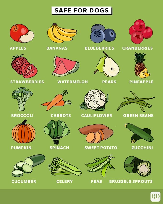 Fruits and vegetables safe for dogs to consume infographic