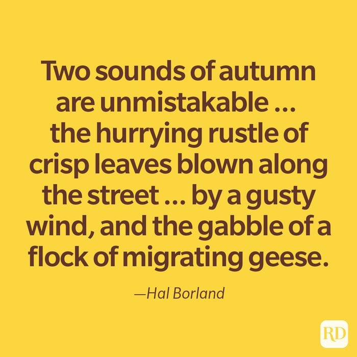 Autumn Quote By Hal Borland