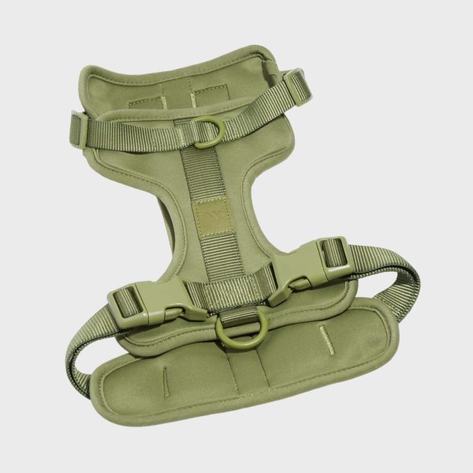 Dog Harness With Adjustable Straps