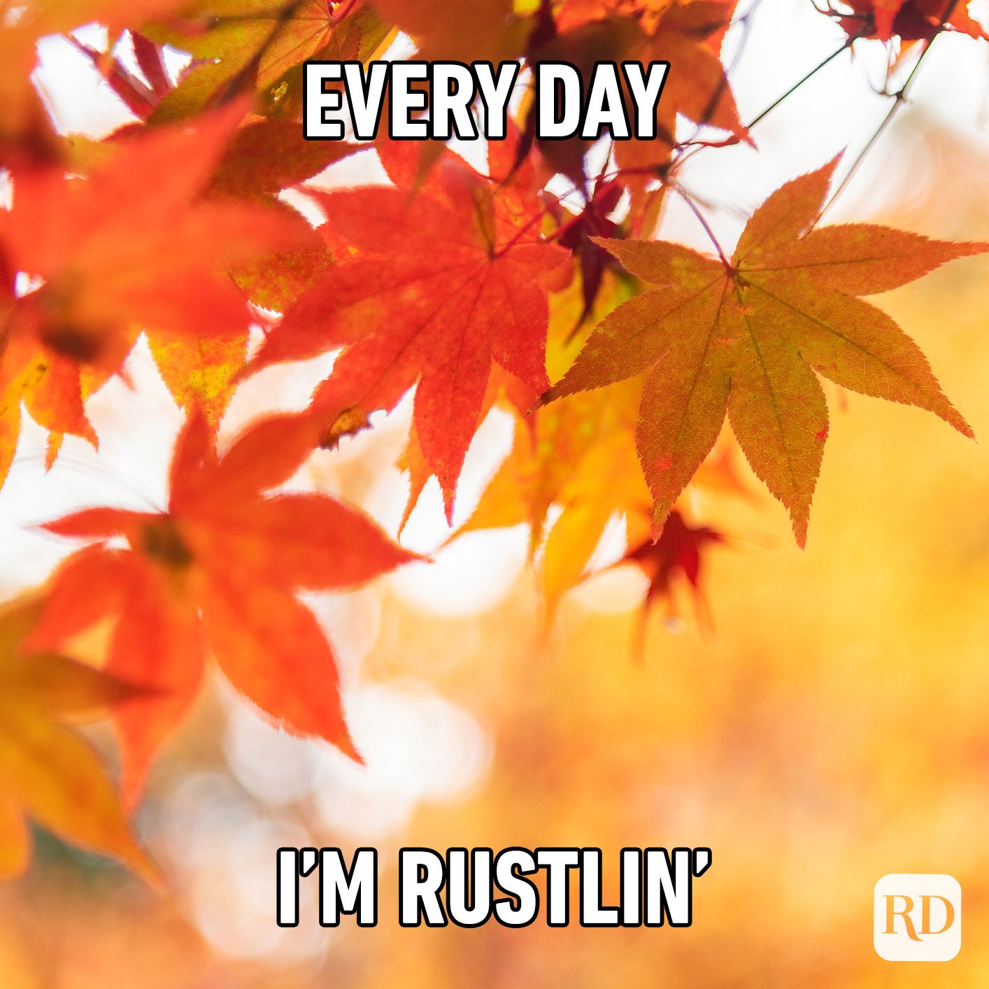 30 Fall Memes All Autumn Lovers Will Relate To In 2023