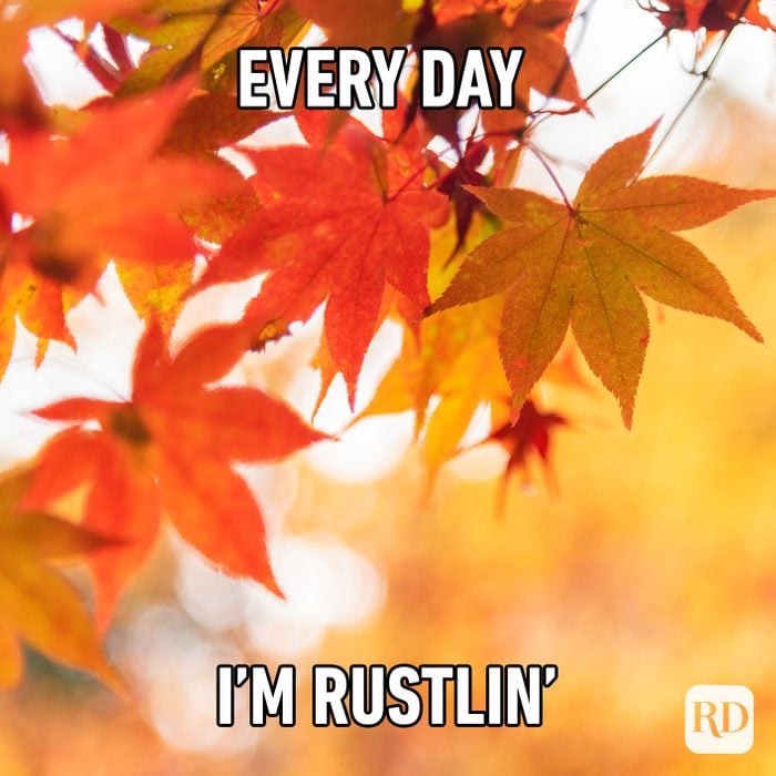 Every Day I’m Rustlin’