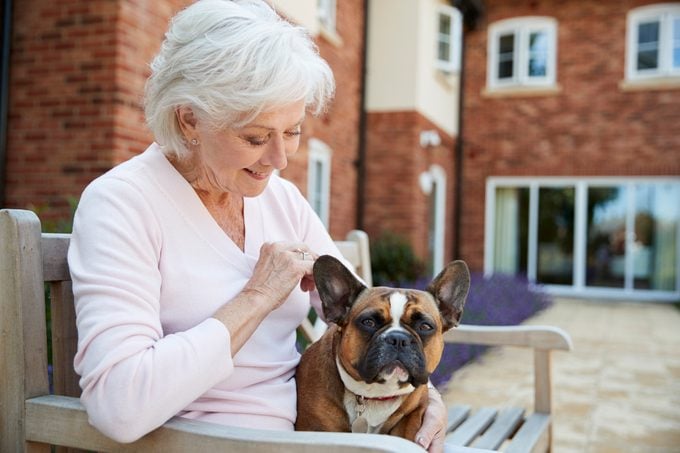 Senior Woman Sitting On Bench With Pet French Bulldog