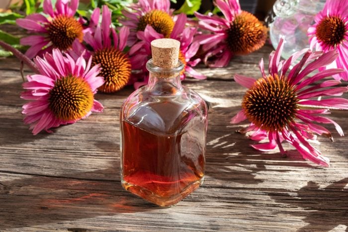 A bottle of herbal tincture with fresh blooming echinacea