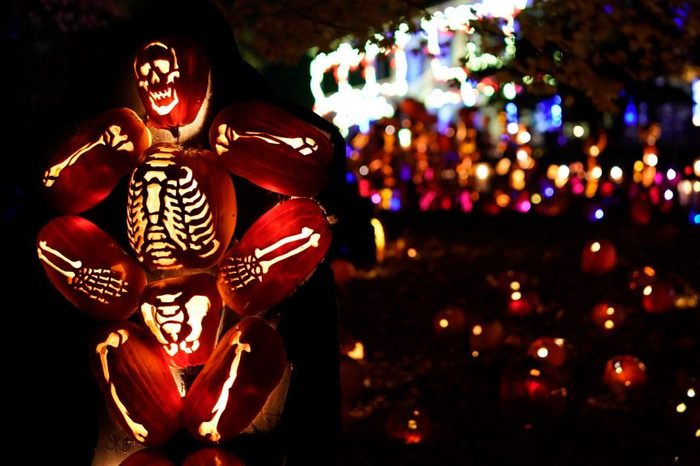 Skeleton made of halloween pumpkins