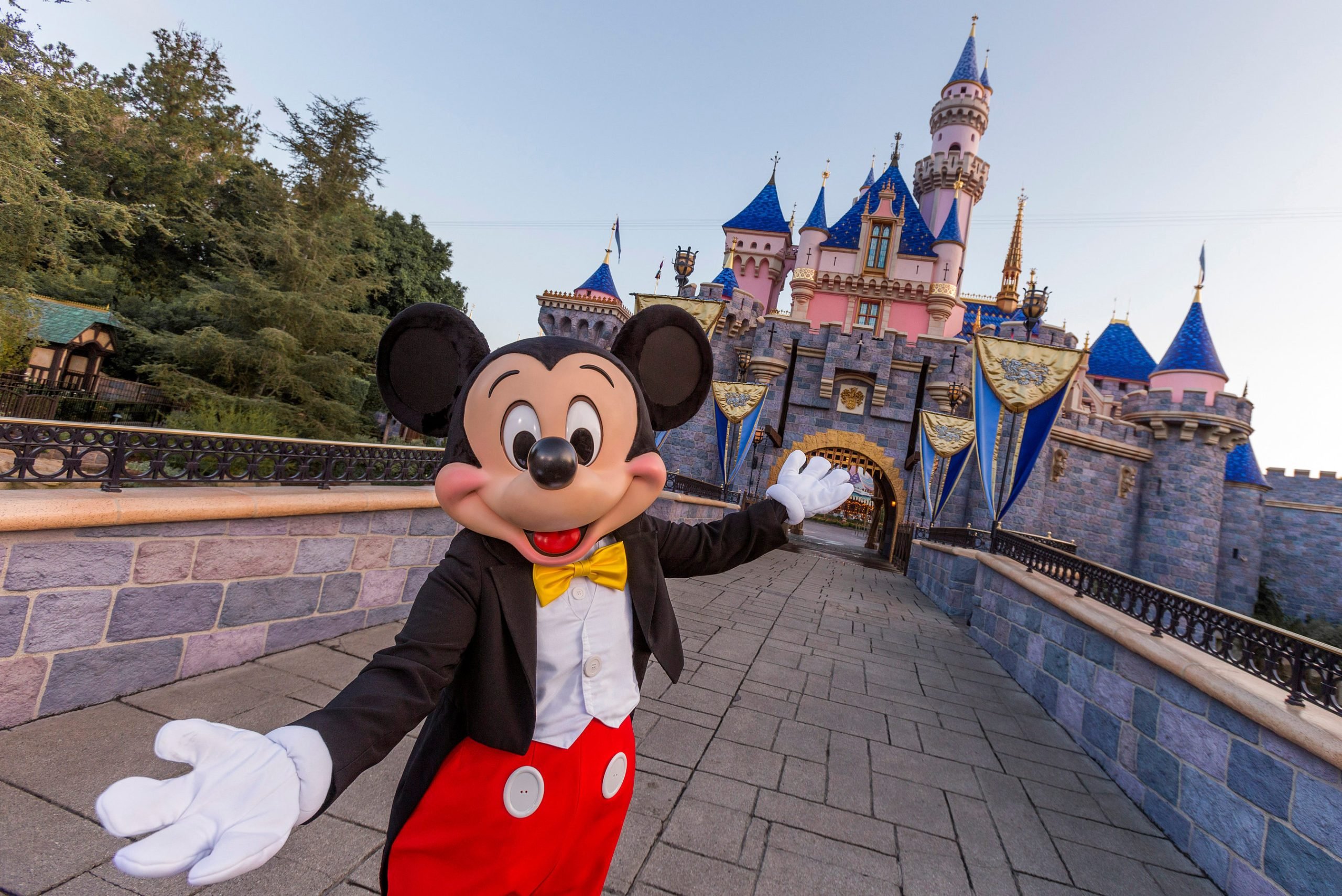 Disneyland vs Walt Disney World: What Are the Differences?
