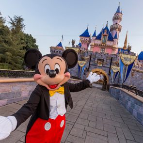 Magic Returns to Disneyland Park as Theme Parks Plan to Reopen April 30