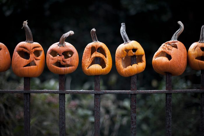 carved pumpkins impaled on a scary fence