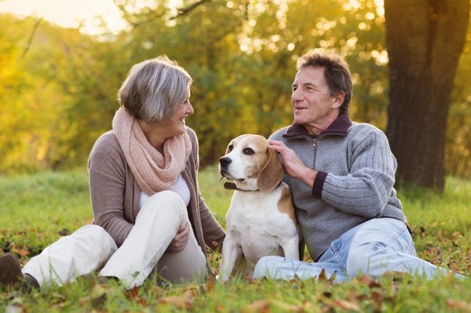 senior couple in a field with pet beagle dog