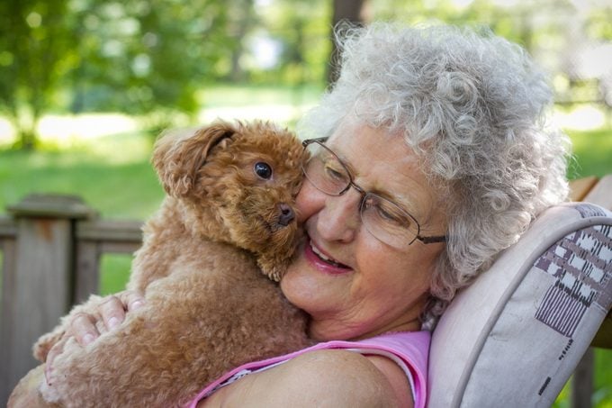 senior woman hugging her toy poodle