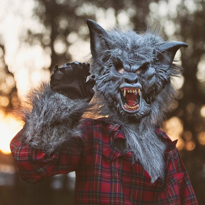 Gettyimages 522825707 Werewolf At Sunset Credits Rebecca Nelson