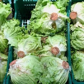Rusty heads of Lettuce At a Supermarket