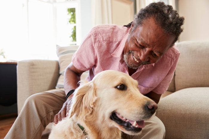 Senior Man Sitting On Sofa At Home With Pet Golden Retriever Dog
