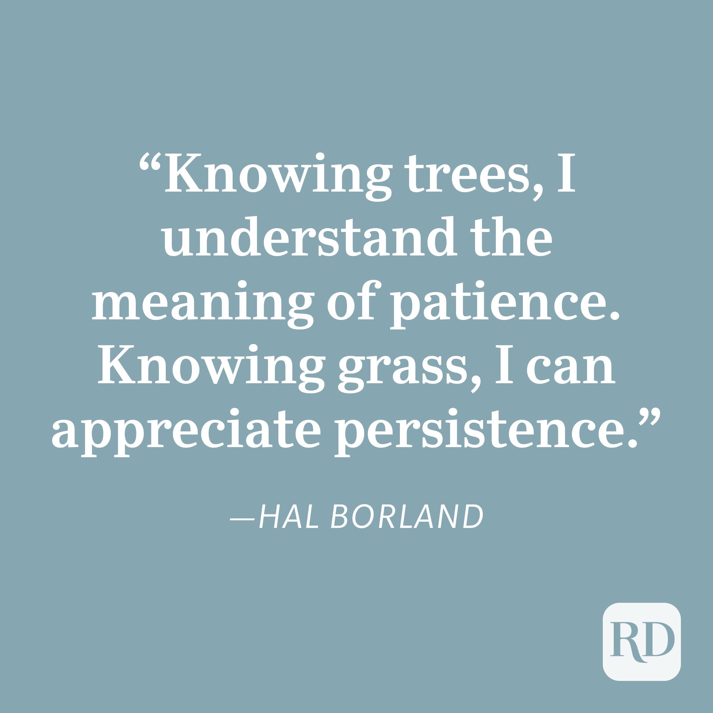 Hal Borland Patience Quote