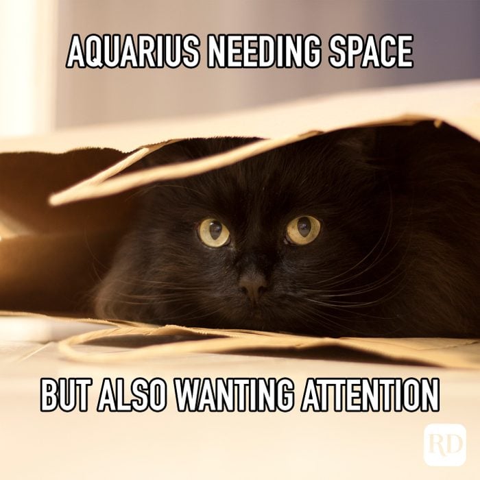 Aquarius Needing Space But Also Wanting Attention meme text on image of cat hiding in bag