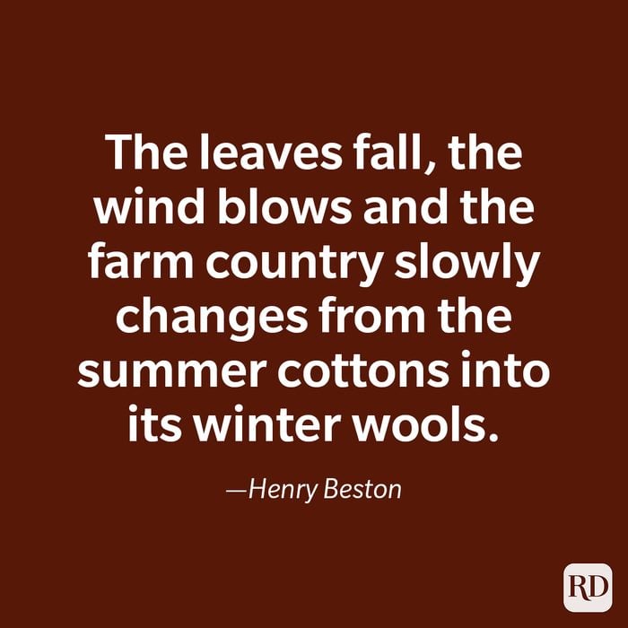 Autumn Quote By Henry Beston