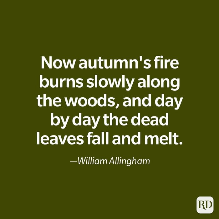 Autumn Quote By William Allingham