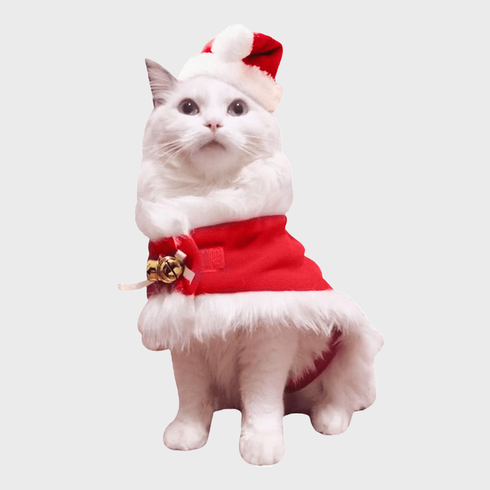 Enjoying Small Pet Costume Christmas Outfit Ecomm Via Amazon