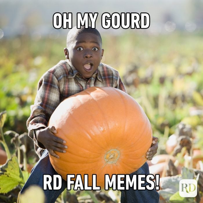 Oh my Gourd, RD fall memes