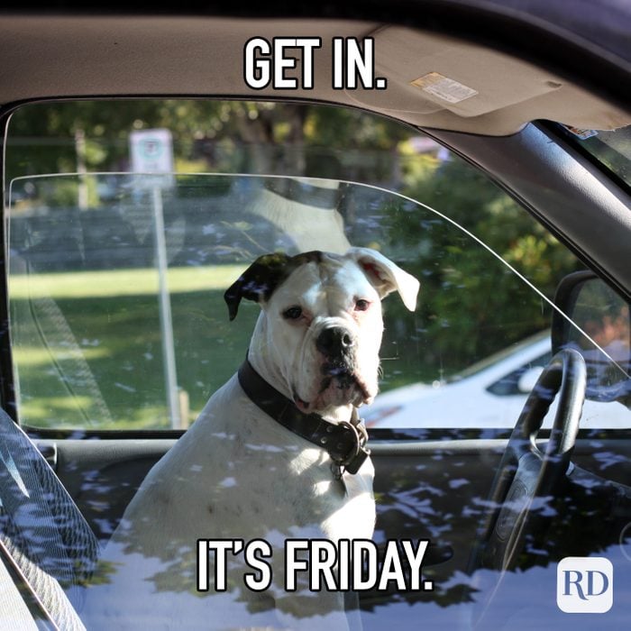 Get In. Its Friday.
