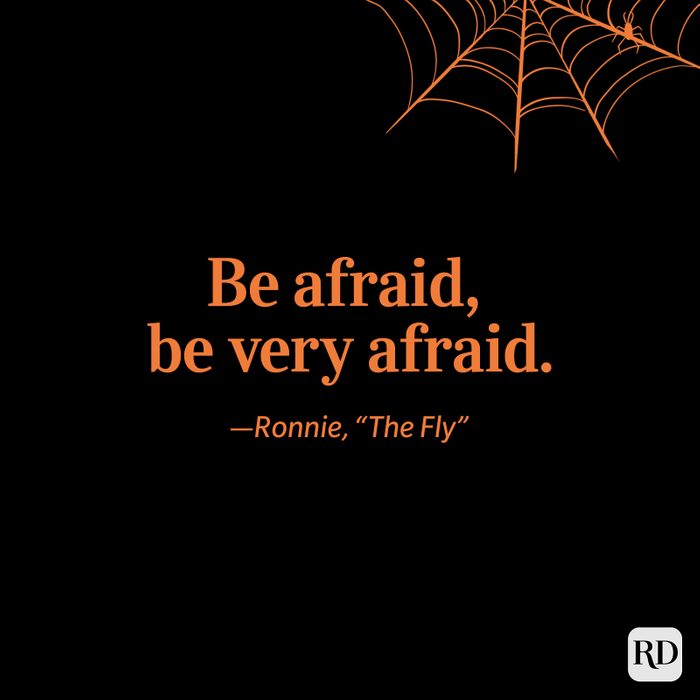 Ronnie, "The Fly" quote