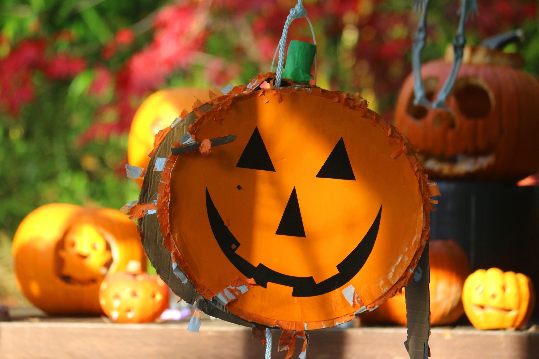 16x16 Multicolor Scary Funny Halloween Party Decor And Supply Ideas I'm So Lit Funny Halloween Pumpkin Jack O Lantern Joke Pun Throw Pillow