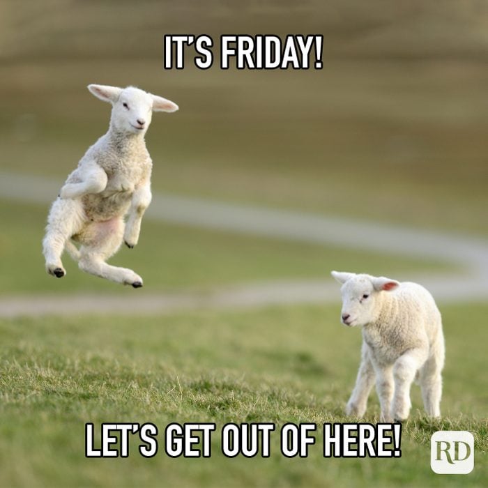 Its Friday! Lets Get Out Of Here!