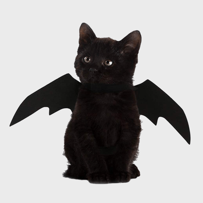 Pet Cat Bat Wings Halloween Ecomm Via Amazon
