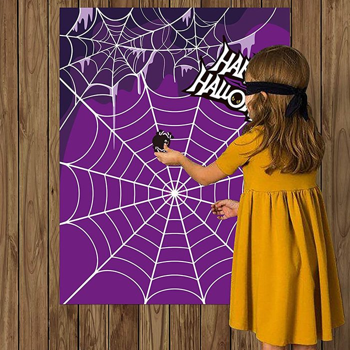Pin The Spider On The Web
