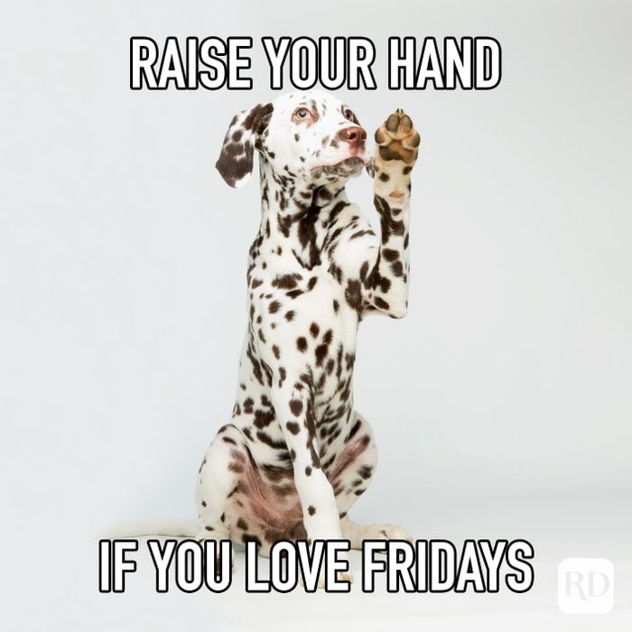 Raise Your Hand If You Love Fridays
