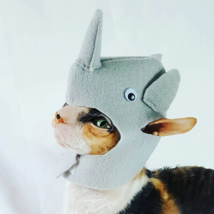 Rhino Cat Costume Ecomm Via Etsy.com