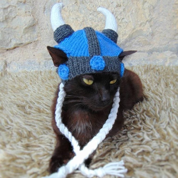 Viking Hat For Cat Ecomm Via Etsy.com
