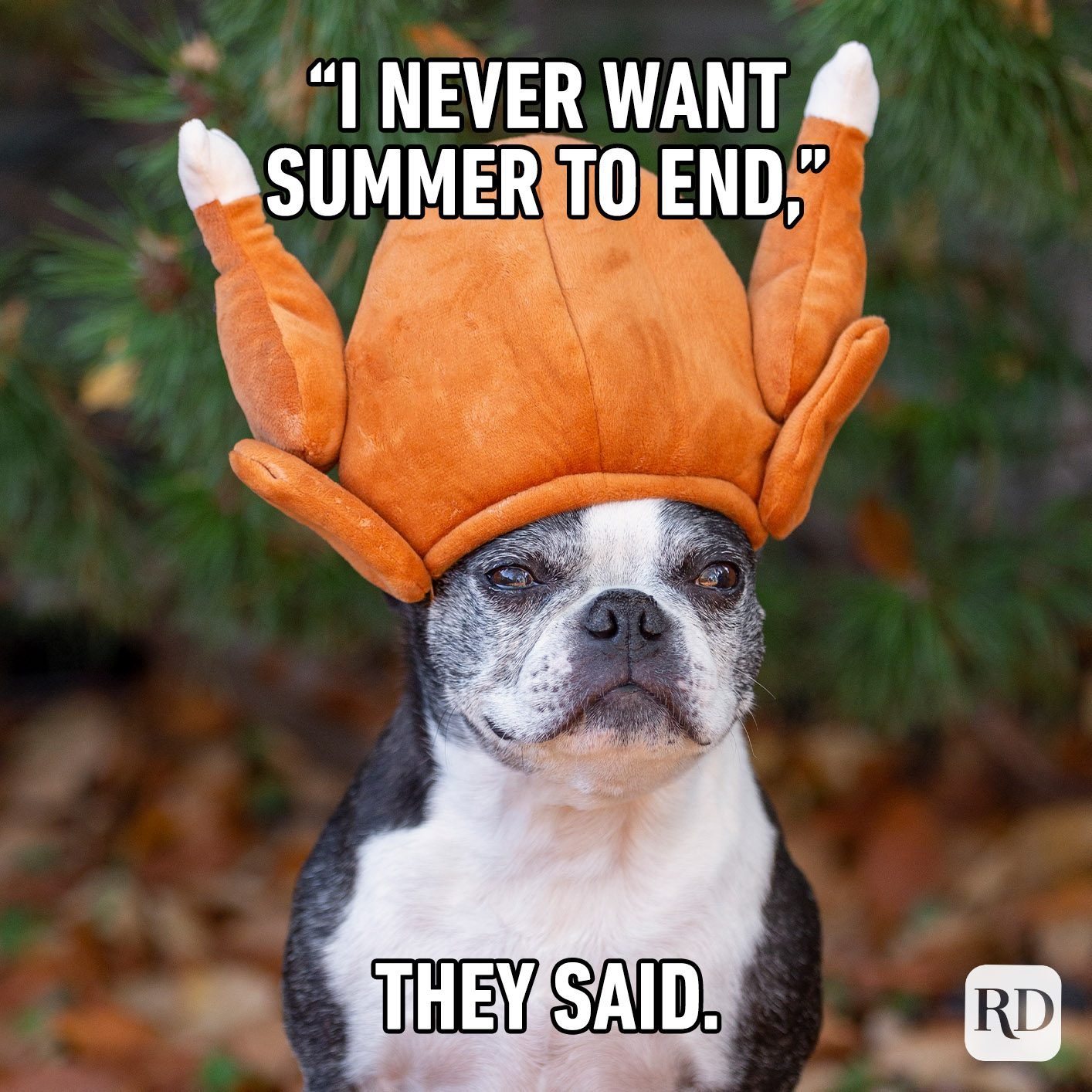 28 Fall Memes All Autumn Lovers Relate To in 2022 Reader's Digest