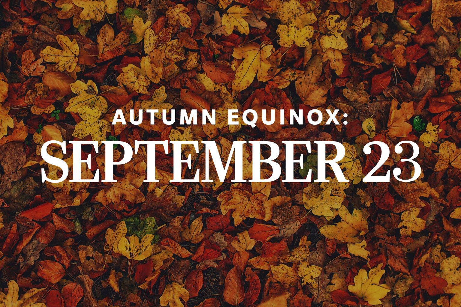 Autumn Equinox 2023: When exactly it is, and what it means