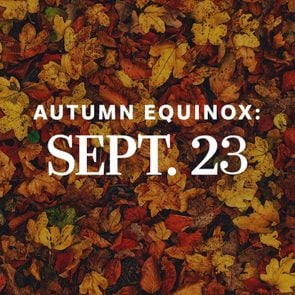 2023 Autumn Equinox Ft