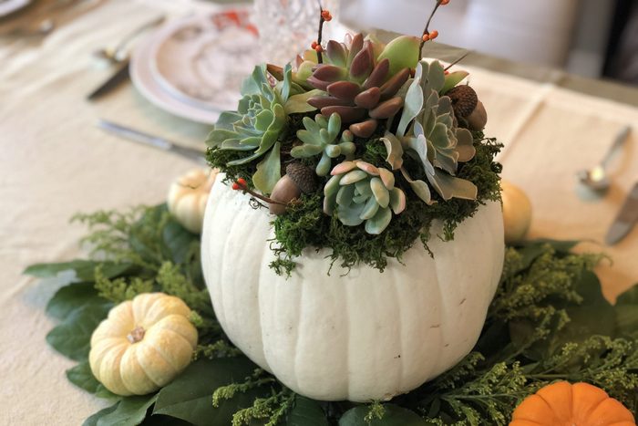 succulent centerpiece in a pumpkin on dining room table