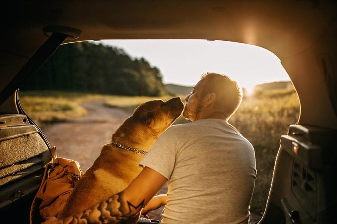 man sitting with his dog in the trunk of his car during sunset
