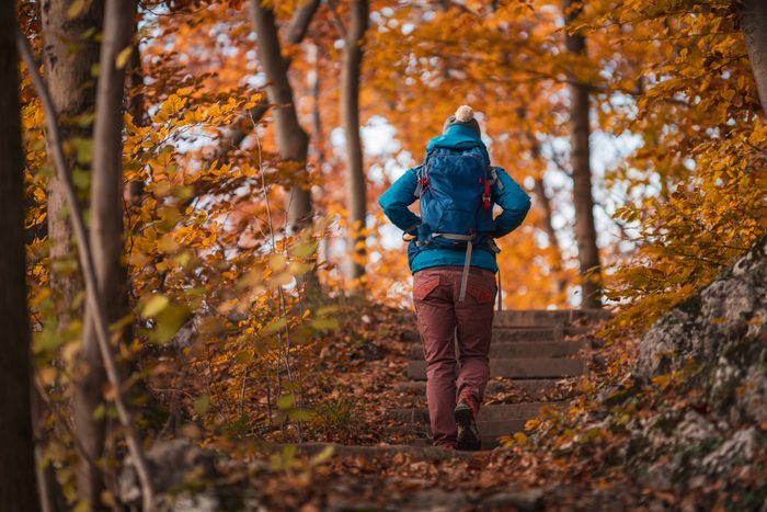 Woman hiking in an autumnal forest, Salzburg, Austria