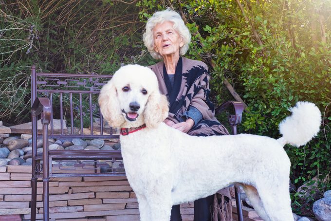 Senior Woman with her Standard Poodle in Backyard