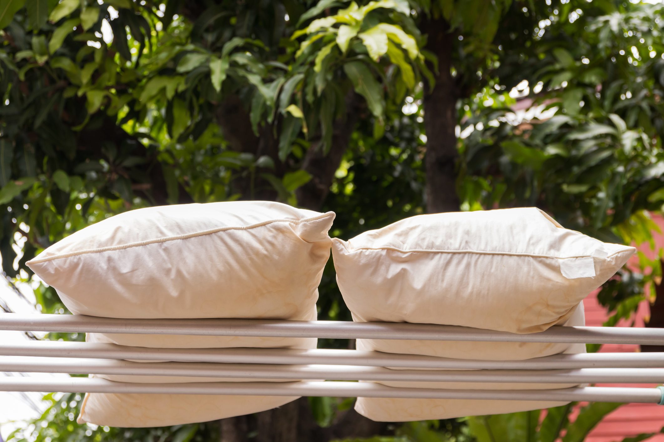 Pillows air drying in the sun to plump up again