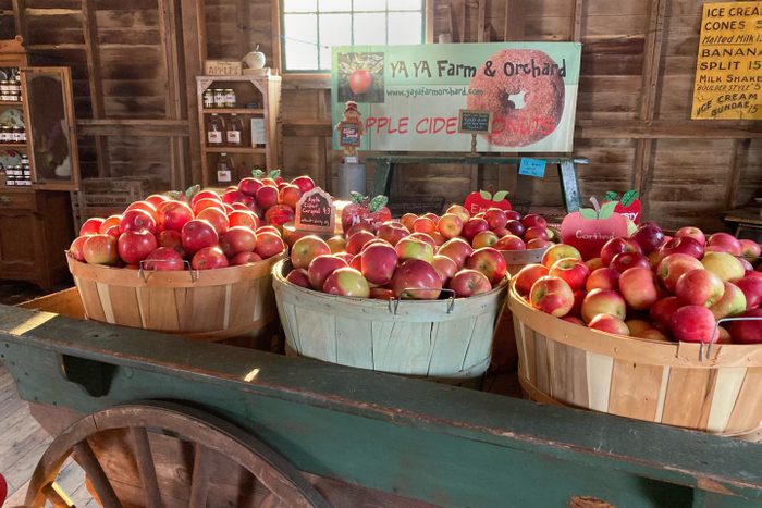 a cart full of apple bushels at ya ya farms