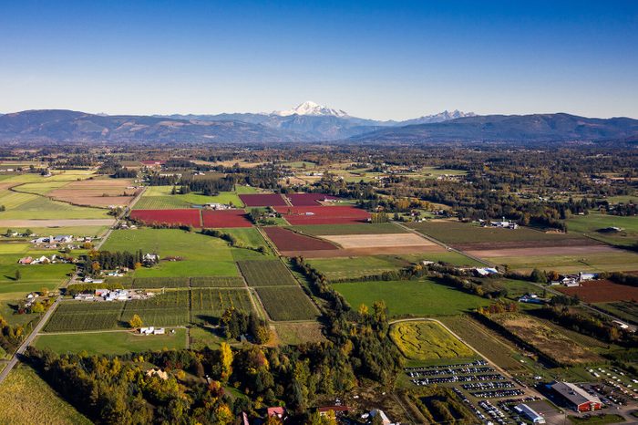 aerial view of farms with mount rainier in the background