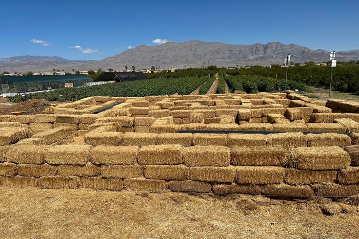 bails of haze with desert mountains in the distance at an apple farm in Nevada