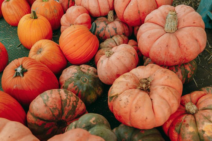 a variety of pumpkins