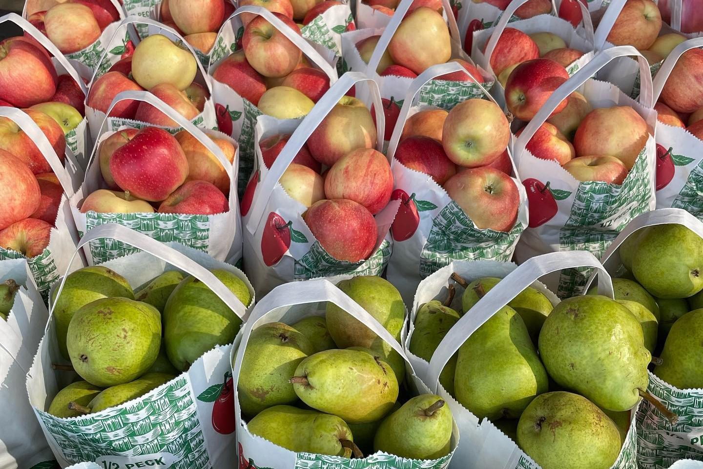 bags of apples and pears