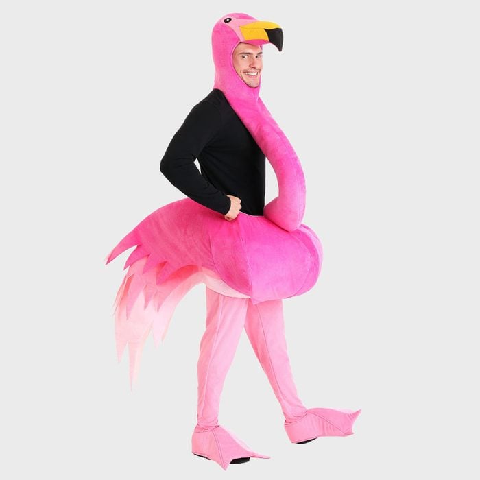 Lawn flamingos Halloween costume