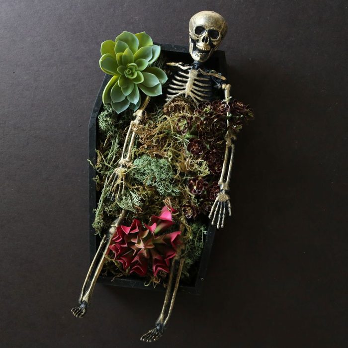 Halloween Coffin Succulent Planter Craft