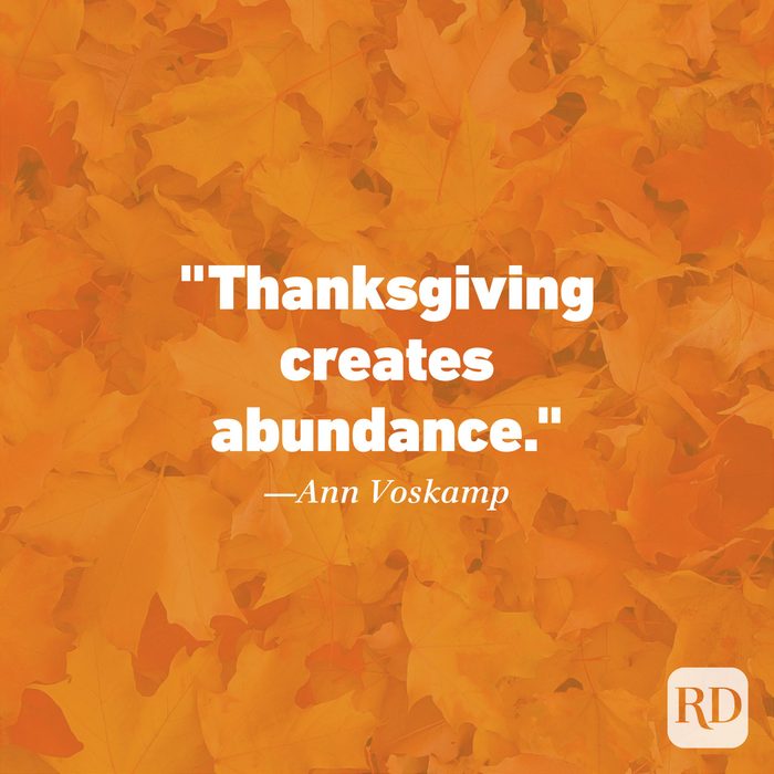 Thanksgiving Quote by Ann Voskamp