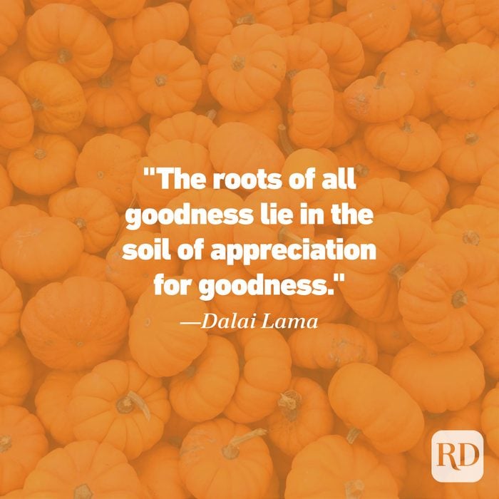 Thanksgiving Quote by Dalai Lama