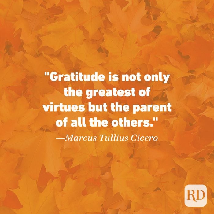 Thanksgiving Quote by Marcus Tullius Cicero